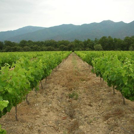 Domaine De Nidoleres Hotel Tresserre Екстериор снимка